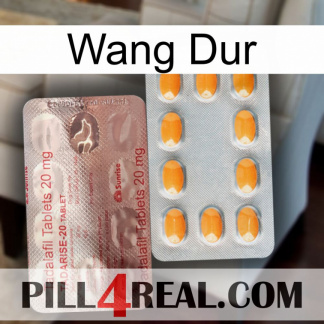 Hard Wang new13